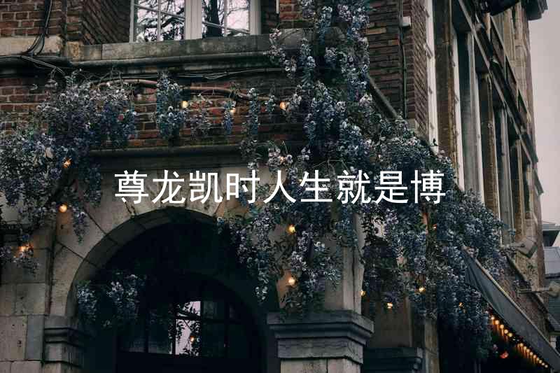 尊龙凯时人生就是博