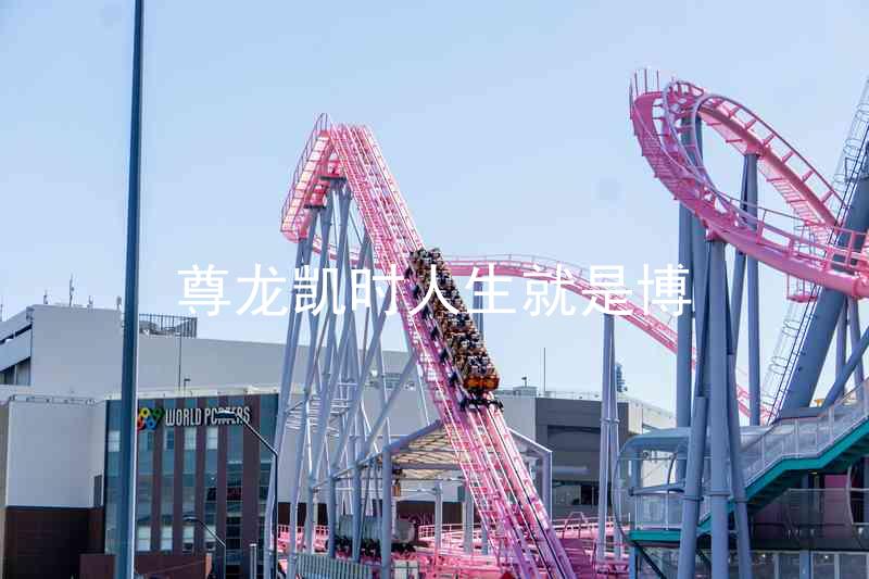 尊龙凯时人生就是博