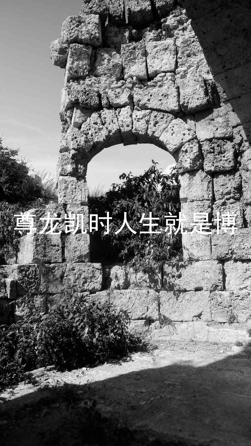 尊龙凯时人生就是博