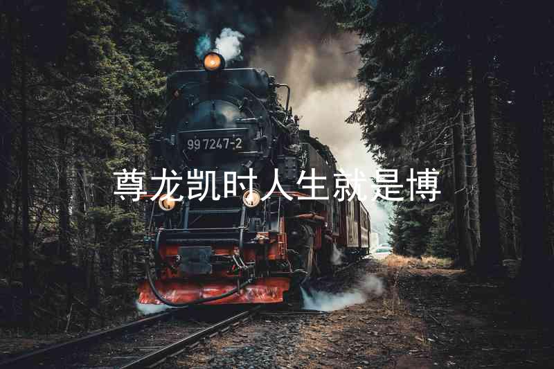 尊龙凯时人生就是博