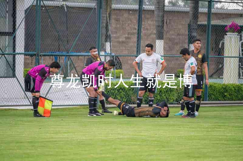 尊龙凯时人生就是博