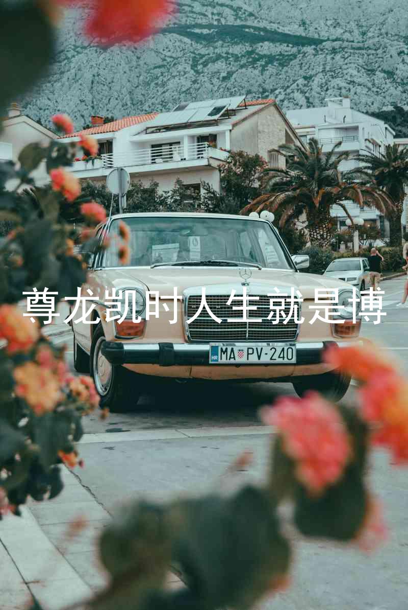 尊龙凯时人生就是博