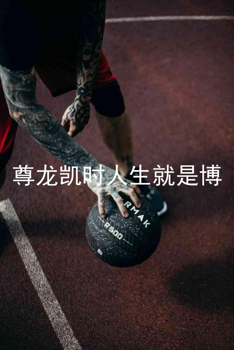 尊龙凯时人生就是博