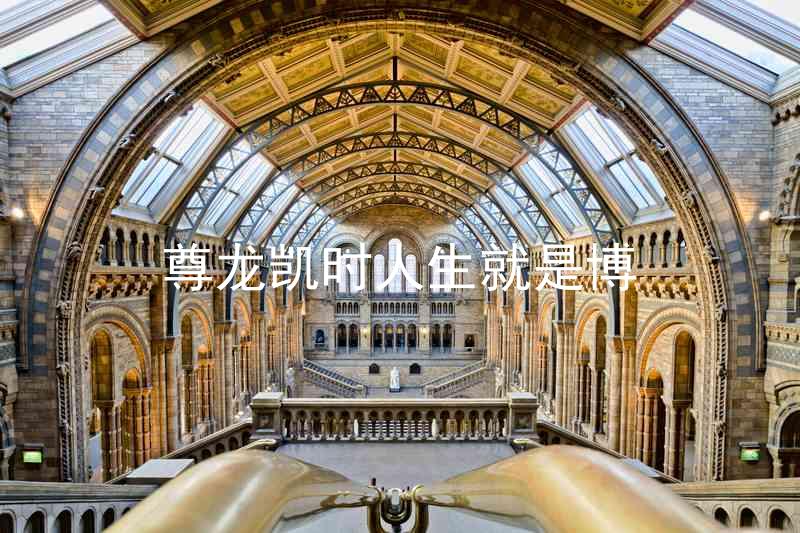 尊龙凯时人生就是博