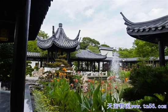 凯时|AG(AsiaGaming)优质运营商